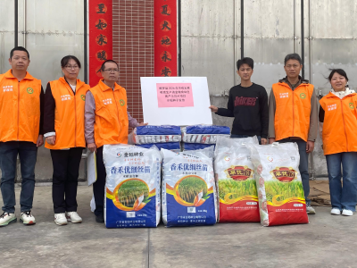 6600斤良种到户！博罗农技部门“组合拳”护航春耕助增收