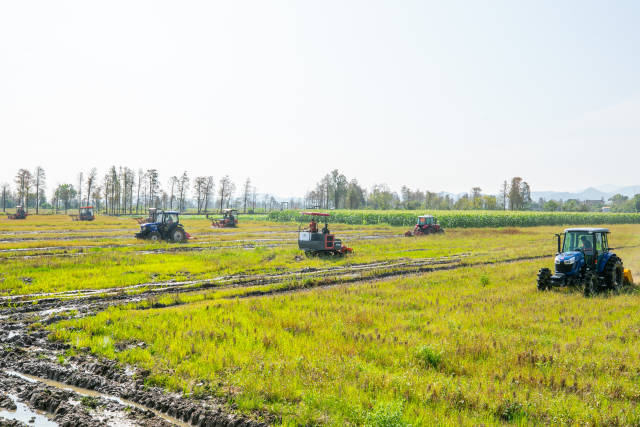 省农机作业服务队在田间奔忙