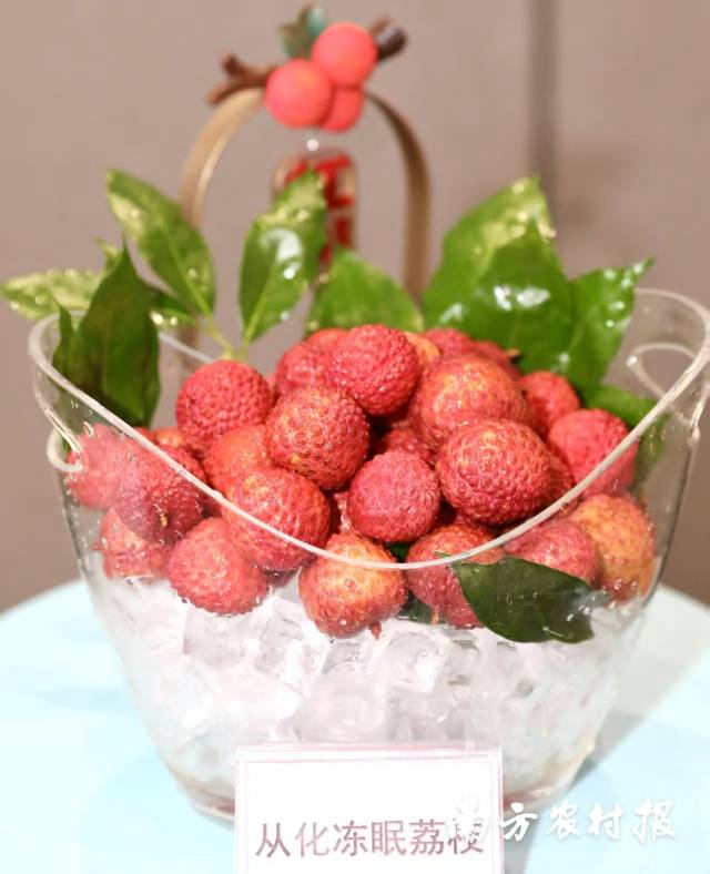 从化冻眠鲜荔枝。