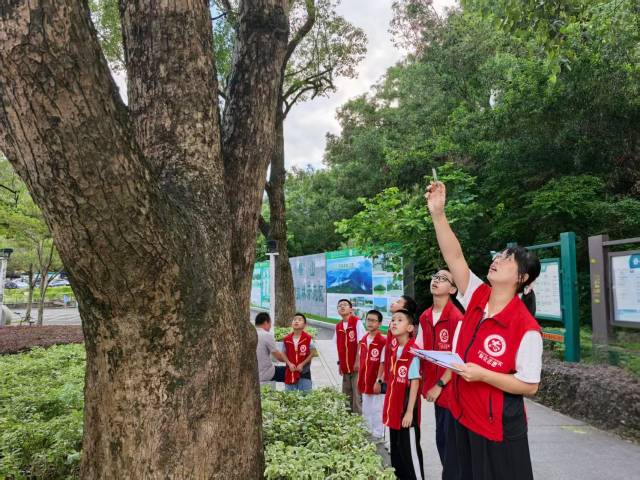 陈小玲带领孩子们在讲解古树知识