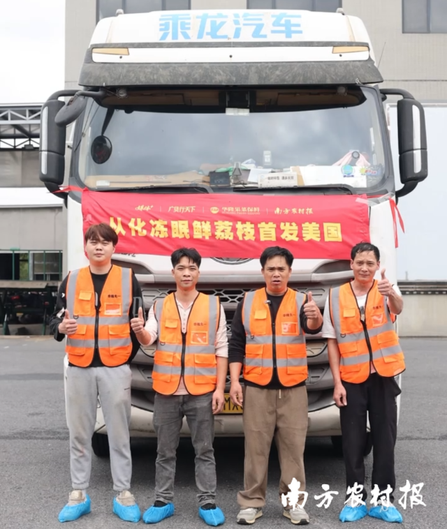 从化冻眠鲜荔枝首发美国。