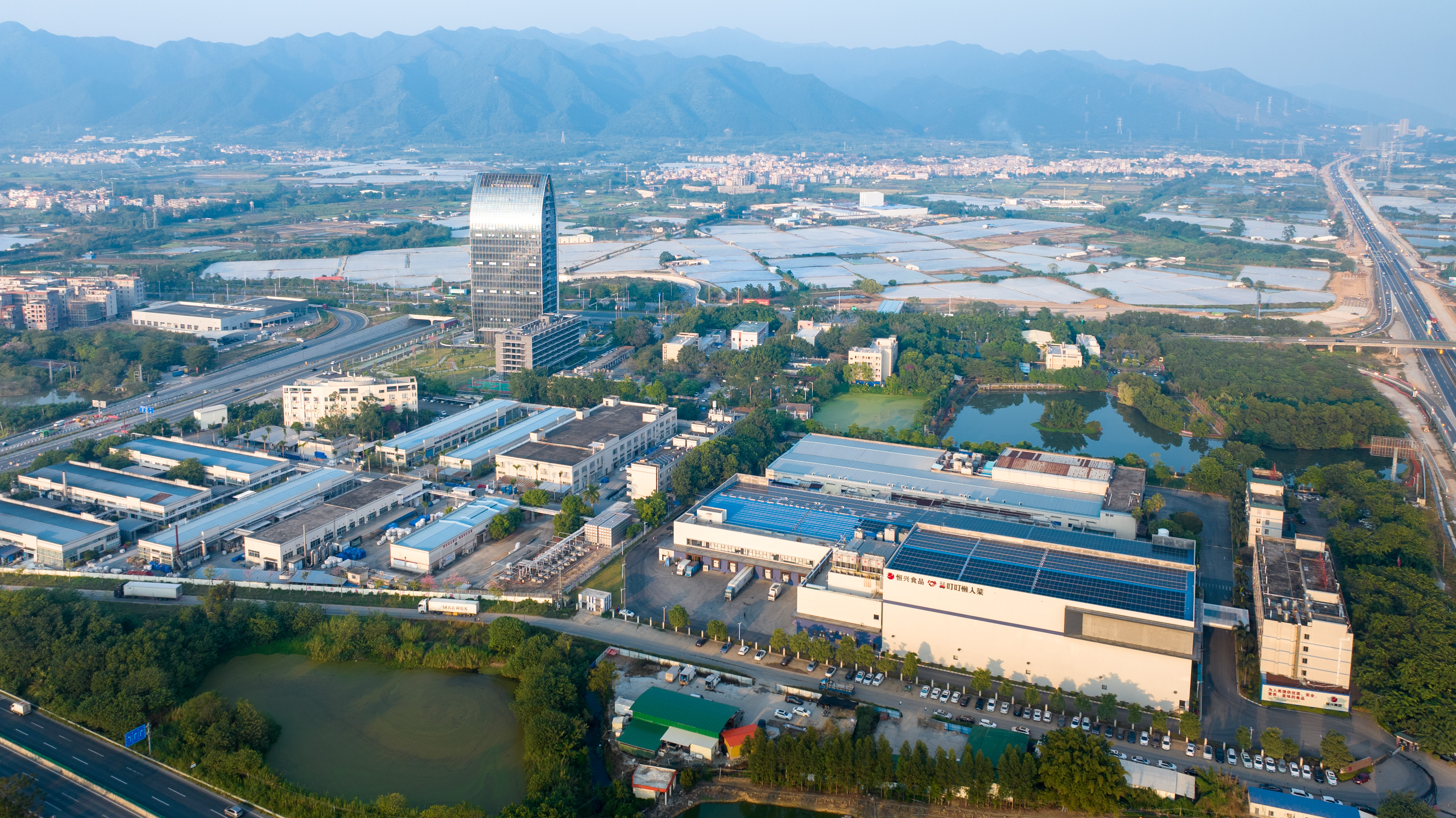 高要的产业园区航拍图。赖家乐 摄