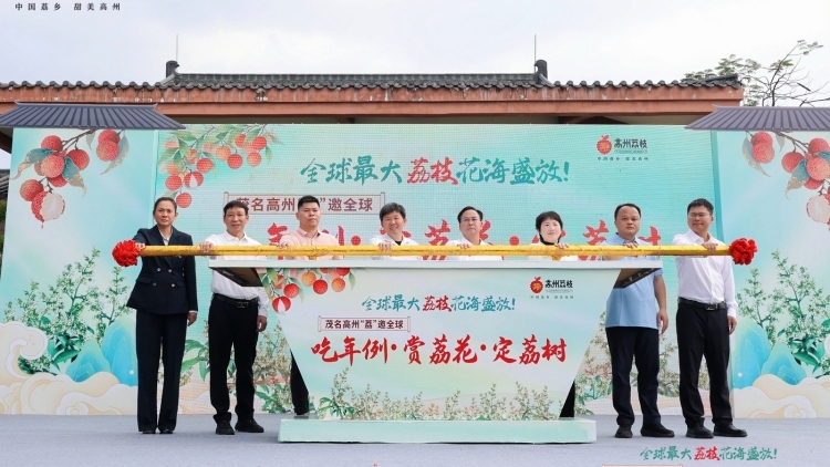 观察|花开惊蛰 年例迎春 高州万亩荔花海绽放“甜蜜约定”