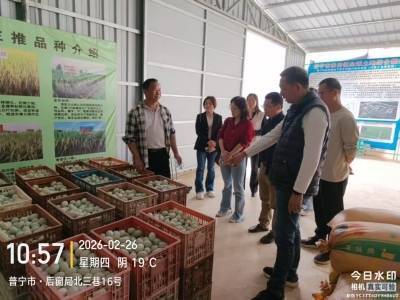 揭阳市启动“奋战140天·护航春耕促丰收”农技服务专项行动