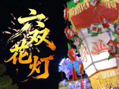 璀璨灯河映六双，花灯巡游兆丰年｜年例·年味④
