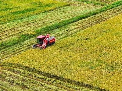 广东伴手礼，“珍香”！