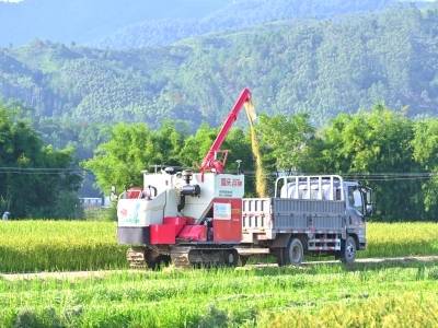 万象“耕”新！河源做优“一粒米”，闯出新“稻”路