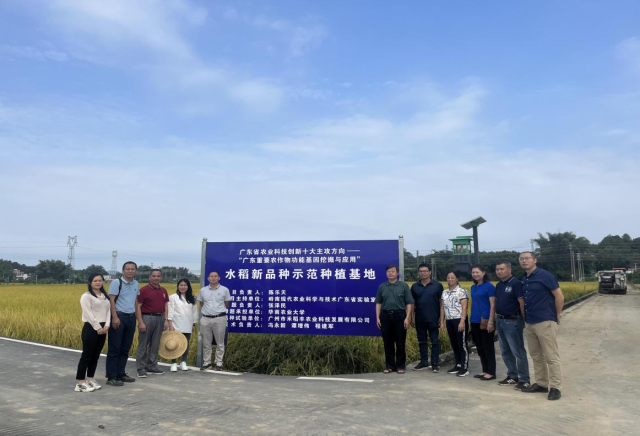 校地建设水稻新品种示范种植基地。