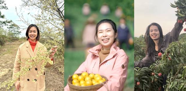 图左至右为：木姜子种植户李秀蓉、“贡柑妹妹”陈慧、“荔枝姐姐”张文珊。  