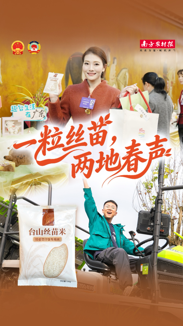 一粒丝苗,两地春声丨两会主播说