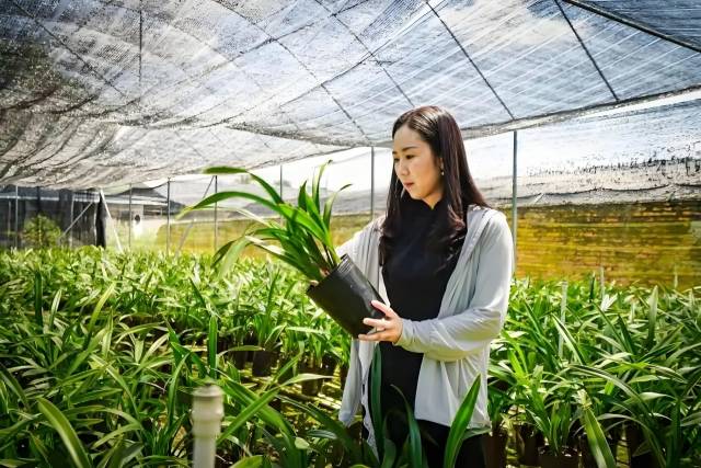 2016年7月，  严恋花辞去企业高管工作，  回到家乡，  受聘担任翁源县兰花协会秘书长职务。