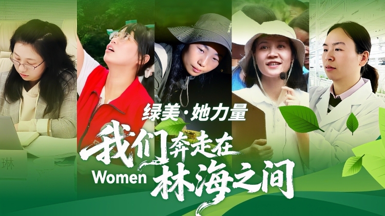 绿美她力量：我们在林海之间