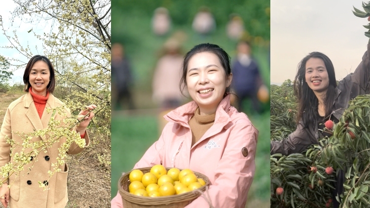 花开沃野，向上生长！高素质农民“她”力量绽放南粤