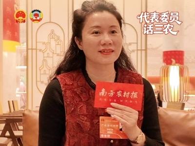 全国人大代表林家如：亮牌警告让耕地“活”起来，杜绝“一边改造一边撂荒”