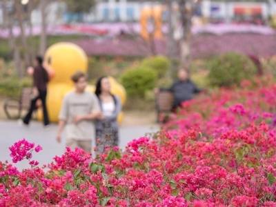 晴好天气持续，昼夜温差大，需适时添减衣物