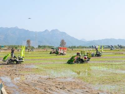 育秧“进度条”过半！广东春耕一线投入75万台套智能农机装备