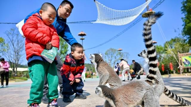 全国人大代表张虎向媒体发出邀约：希望大家多到大湾区走一走、看一看