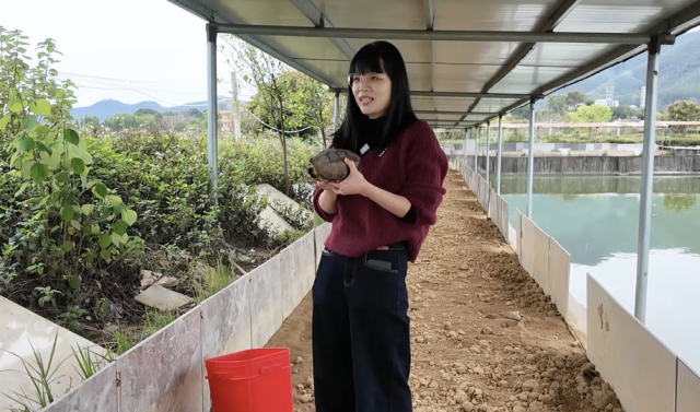 岑燕颖在直播。