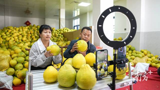 黄宏夫妻俩在自己的仓库里直播卖柚子。受访者供图
