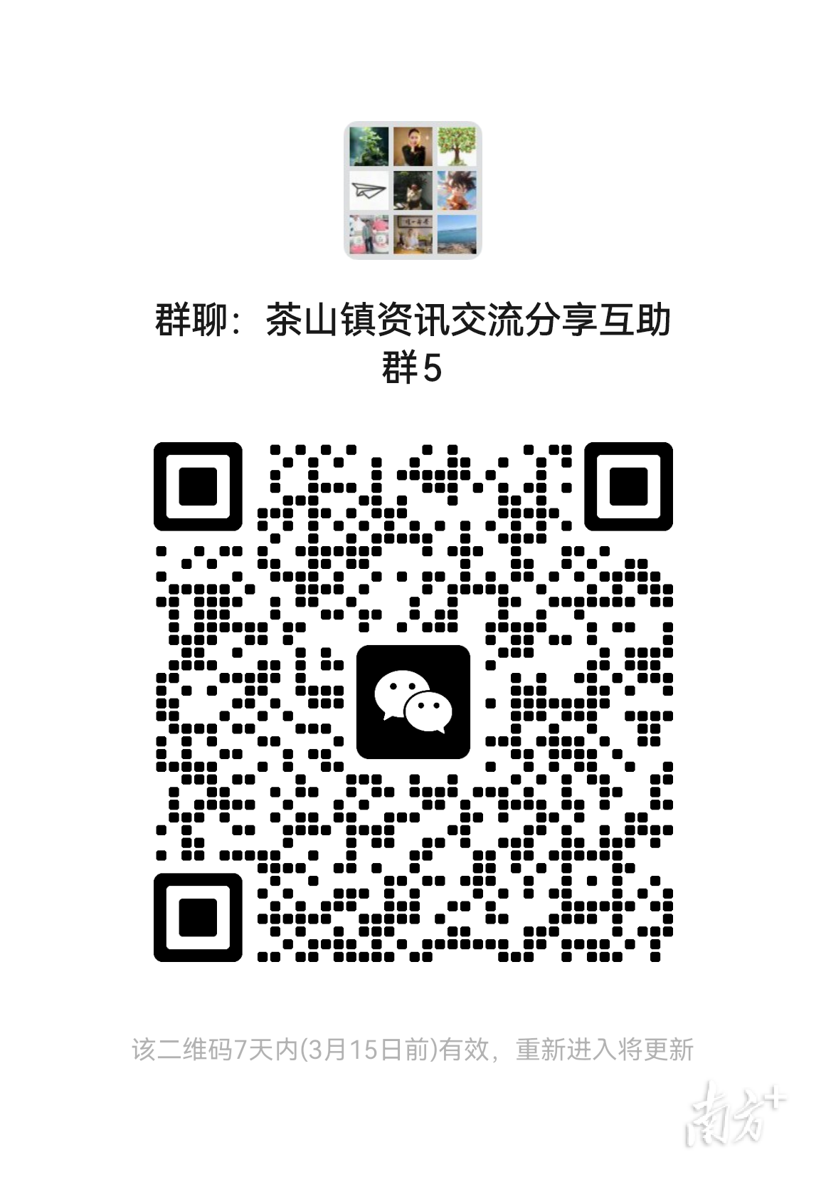 茶山这条村在田间地头办了场“全鹅”烹饪大赛 通讯员 茶山宣 供图