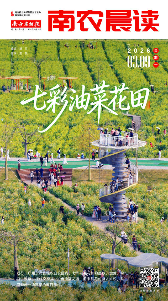 南方农村报 巢芮 制图