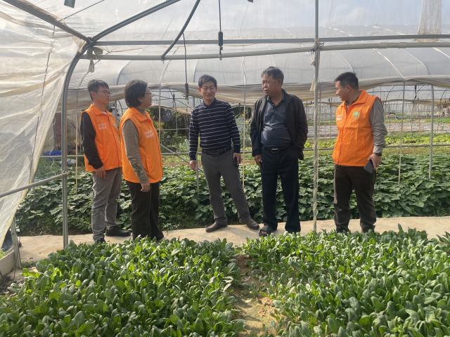 南方农村报 徐建杭 拍摄