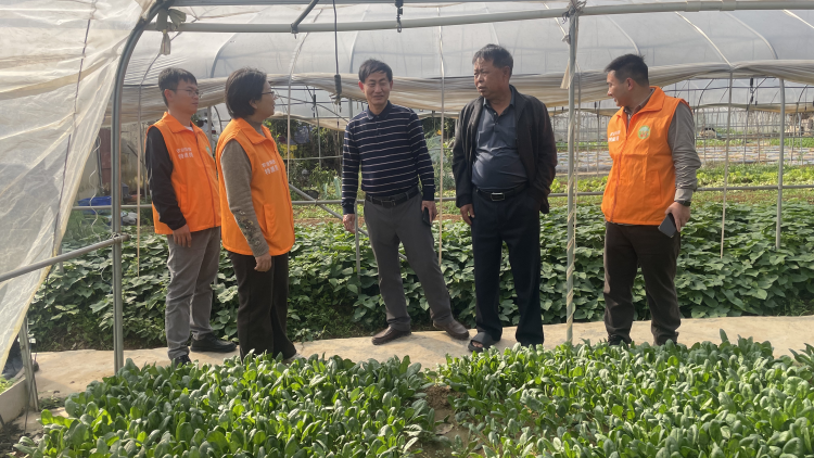 深圳市农业科技特派员（轻骑兵）  下沉一线护航春耕促丰收