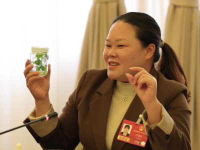 “产量高四倍，口感好百倍！”广东代表带红薯种苗现场“种草” | 快看两会