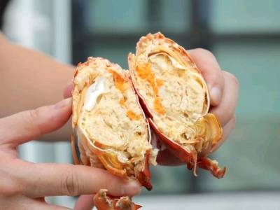 黄油“鎏金”，软壳“驻鲜”！湛江青蟹如何养出千元身价