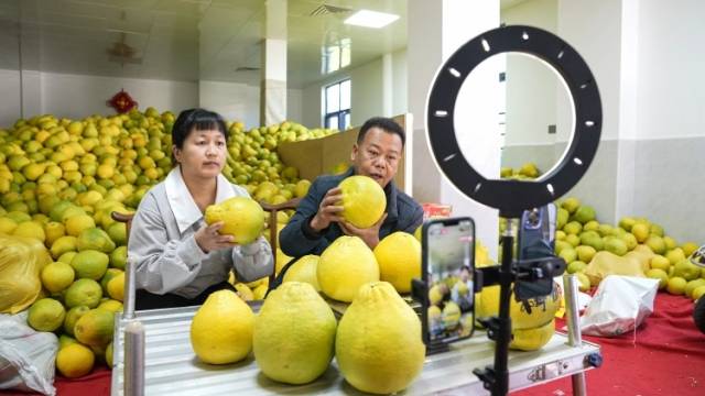 柚润南福｜报告文学