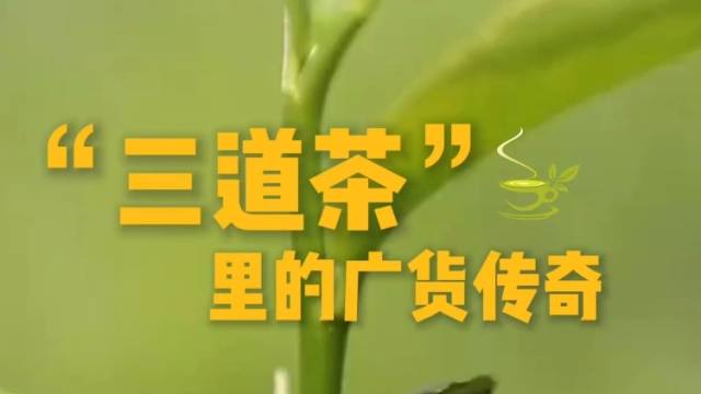 广东“三道茶”：茶香里的广货传奇