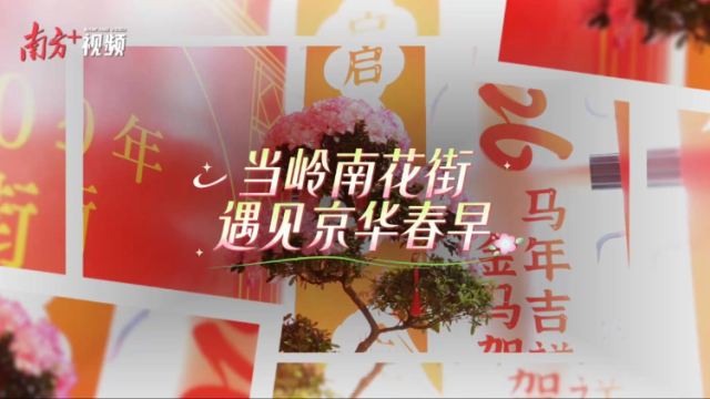 微纪录片｜当岭南花街，遇见京华春早