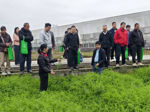 南方农村报 徐建杭 绘图