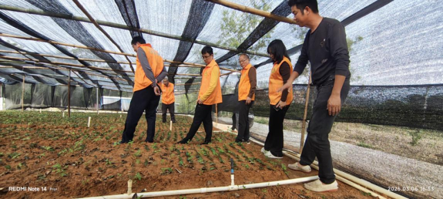 良垌茗上茗茶业有限公司指导现场