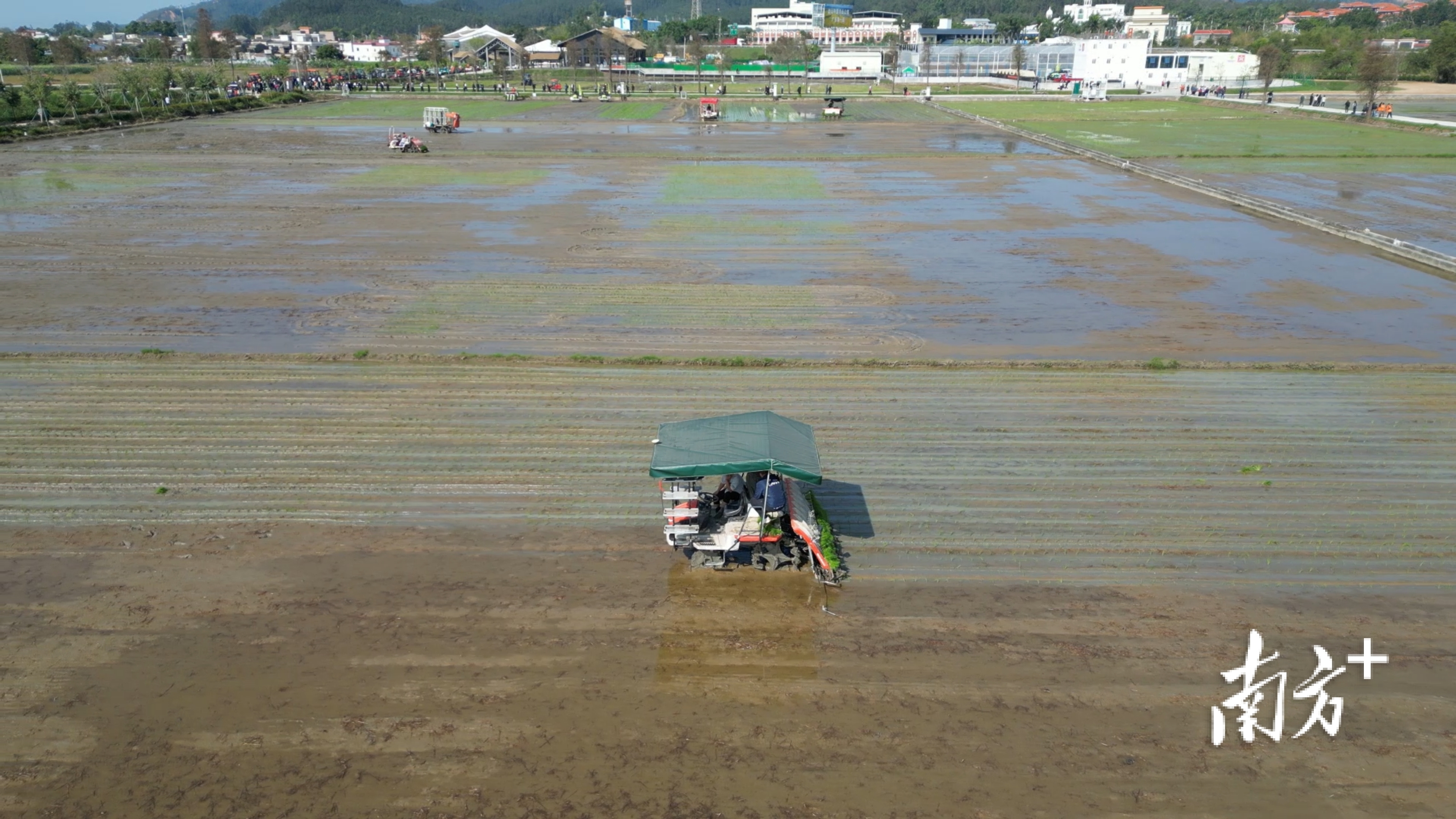 在台山“广东第一田”，各类农机为春耕注入“机械化动能”。