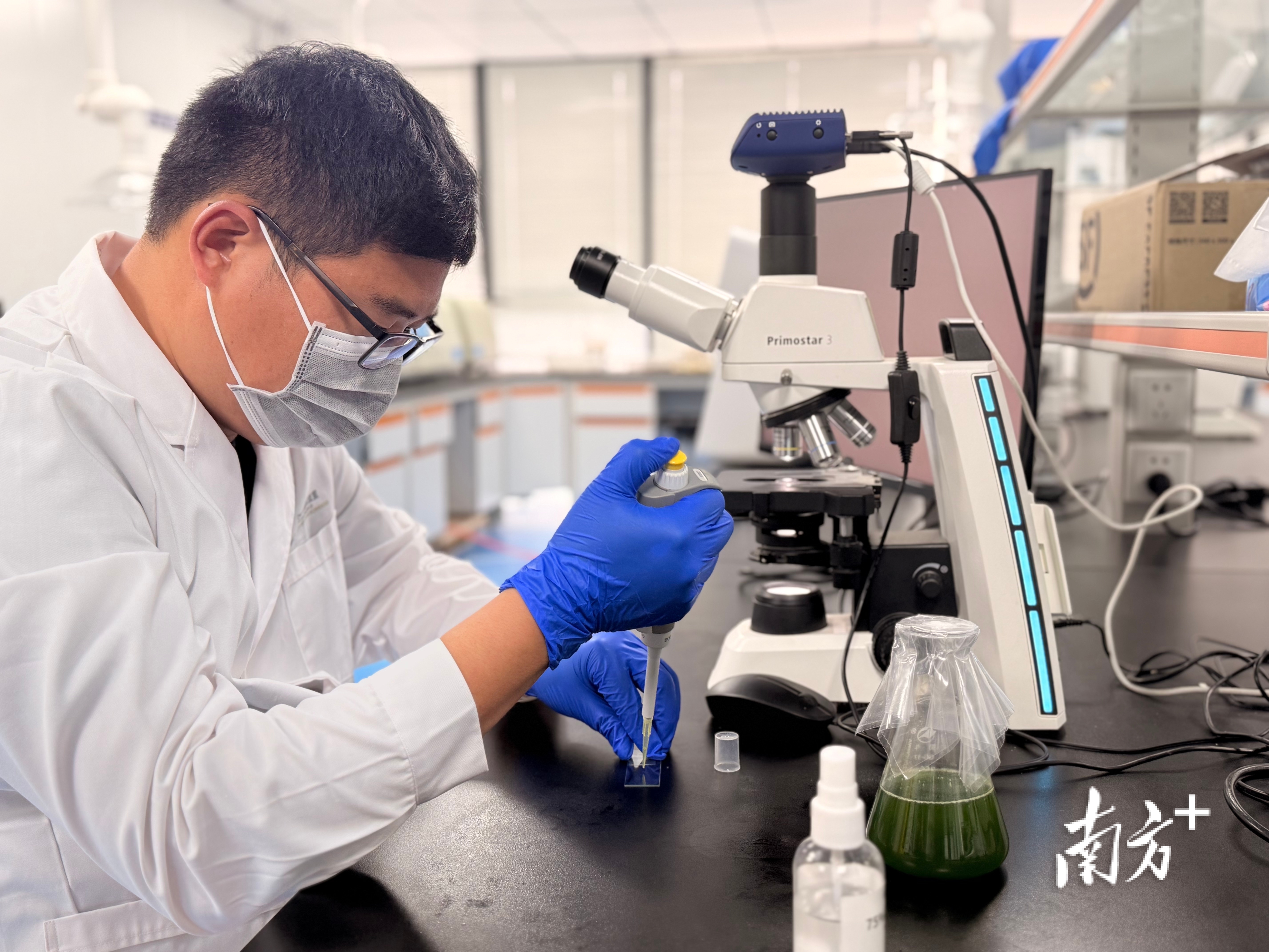 李磊用移液枪吸取少量样本滴在载玻片上，推入显微镜下观察。 南方+ 张泳渝 摄