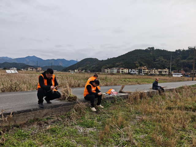 南方农村报 徐建杭 绘图