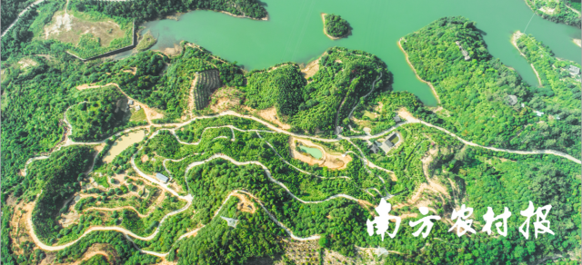 莞香非遗植物园