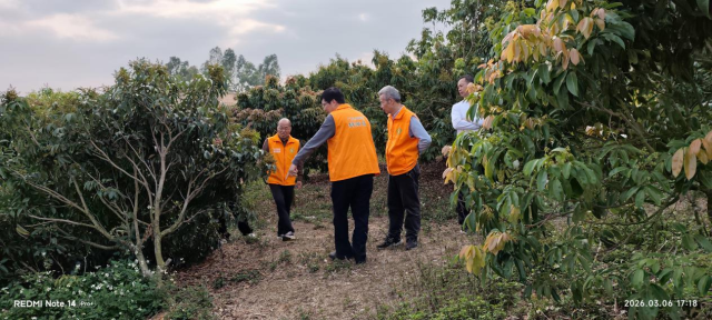 农创优品种养专业合作社庞小宇荔枝种植基地