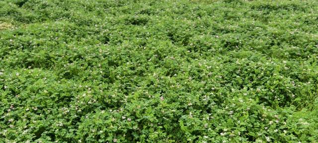 南方农村报 徐建杭 绘图