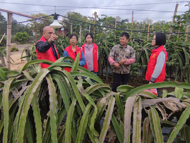 南方农村报 徐建杭 拍摄