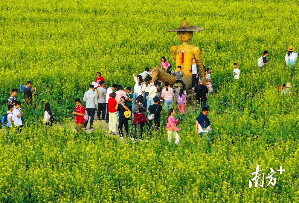 游客在稻草人前合影留念。&nbsp;