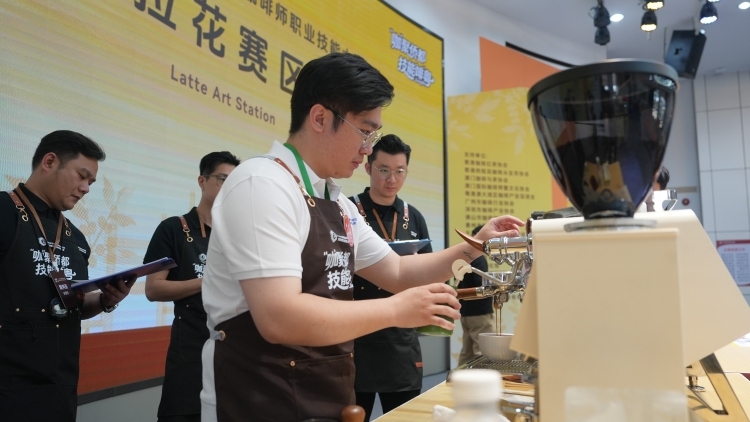 南方观察｜在江门，一杯咖啡如何喝出人才“生态圈”？