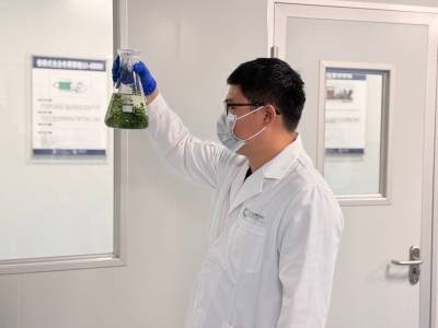 “双碳”博士李磊：我在江门用藻类“碳”索未来｜百万英才汇南粤