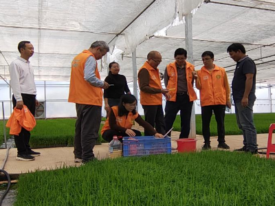 滚动丨廉江农业科技特派员开展春耕农技指导系列服务