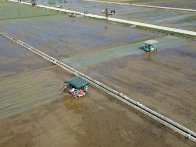 普法强基，实训赋能！广州开展春耕农机安全主题活动