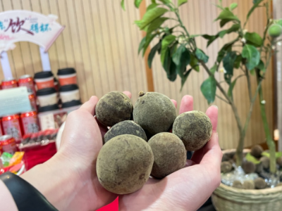 这次集中采访，广东团玩起了“call back”！