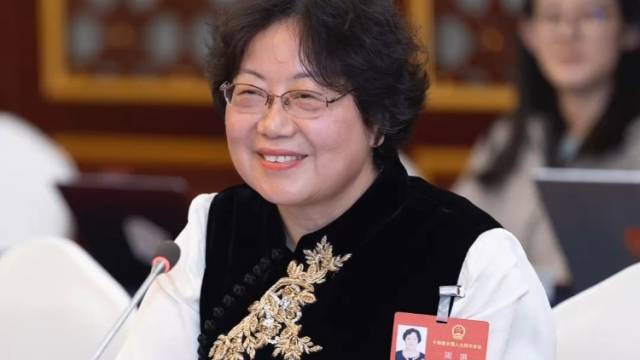 全国人大代表、广东省人民医院党委书记周琳：汇聚优秀人才，让优质医疗资源触手可及
