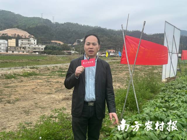 广东省农科院作物研究所马铃薯研究室主任李小波