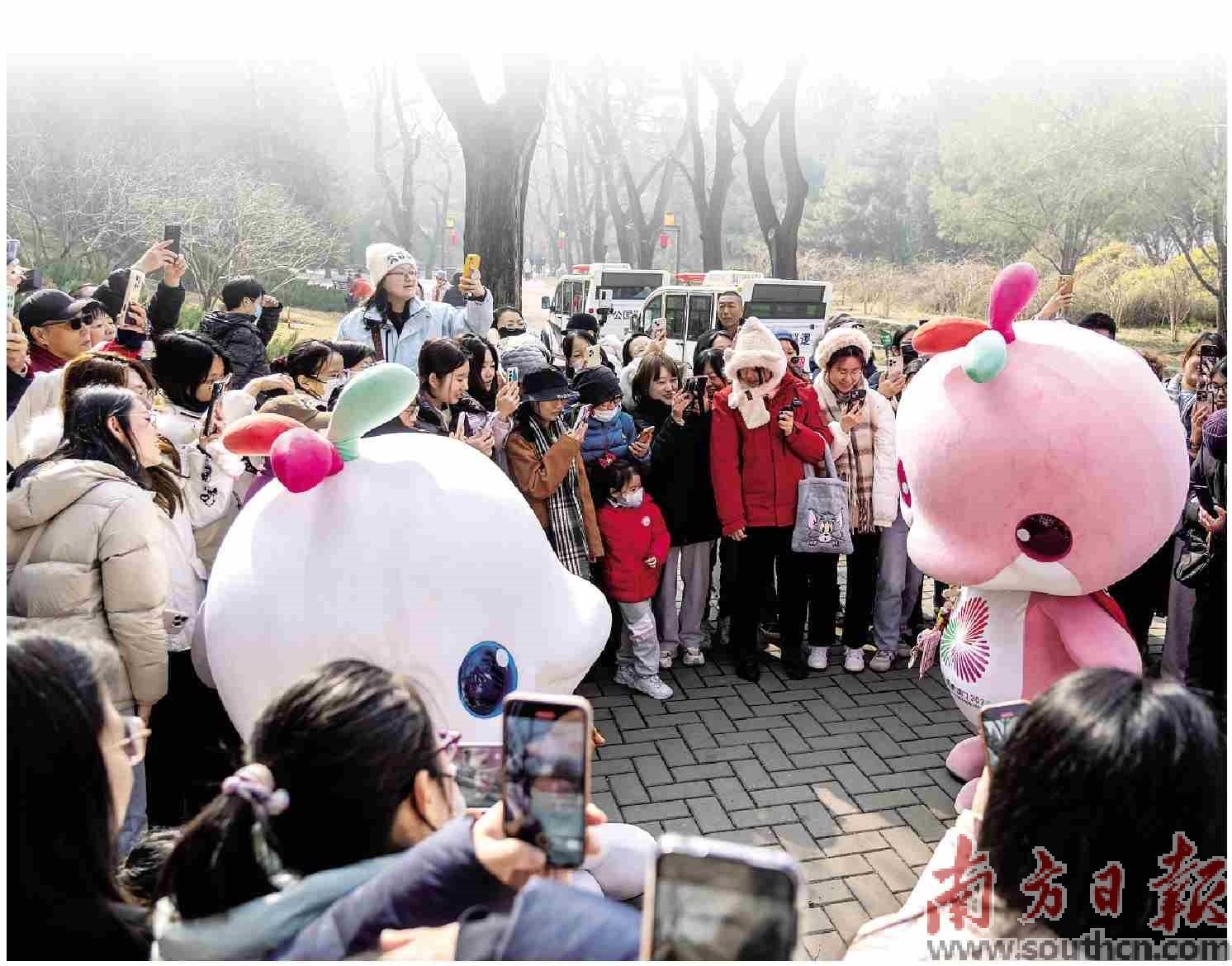 “大湾鸡”与北京市民欢乐互动。